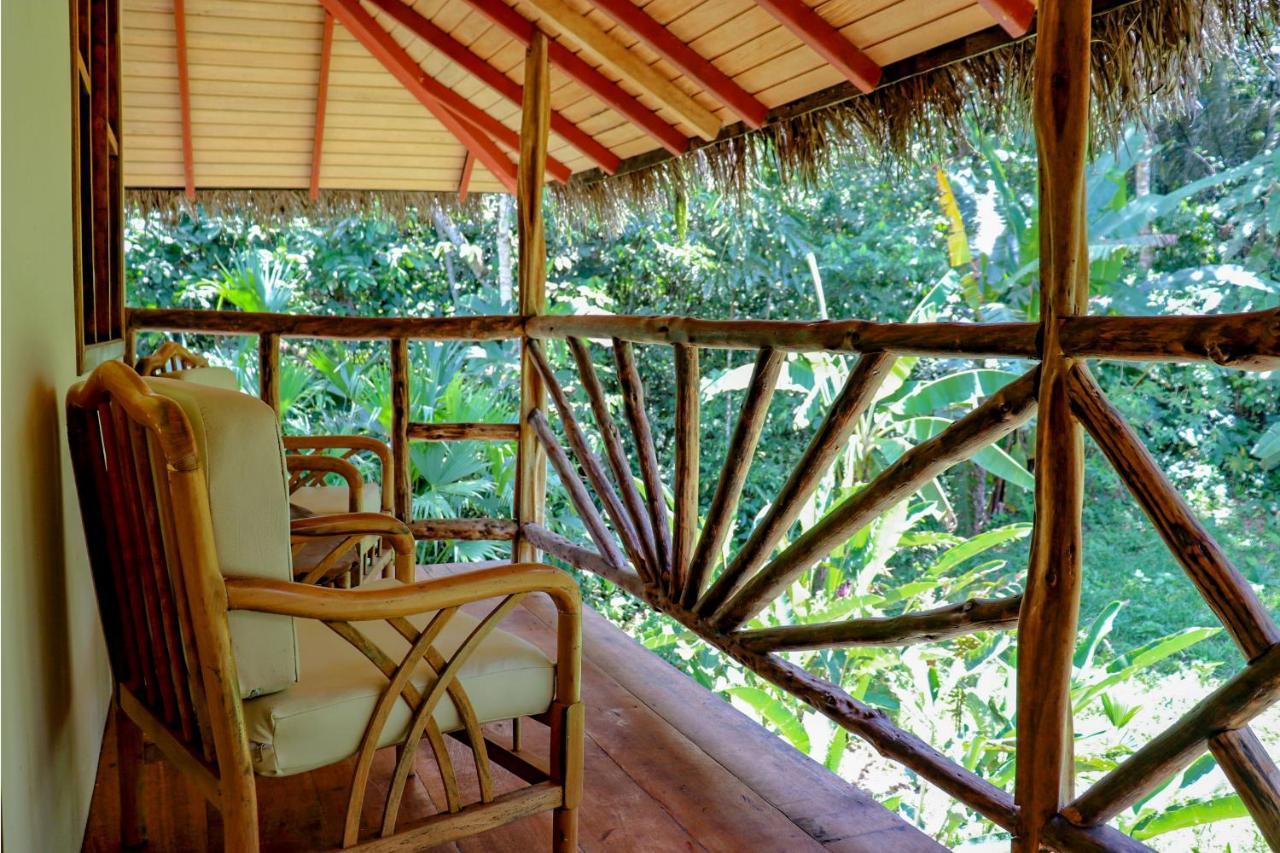 Suchipakari Amazon Eco -Lodge & Jungle Reserve Misahualli Luaran gambar