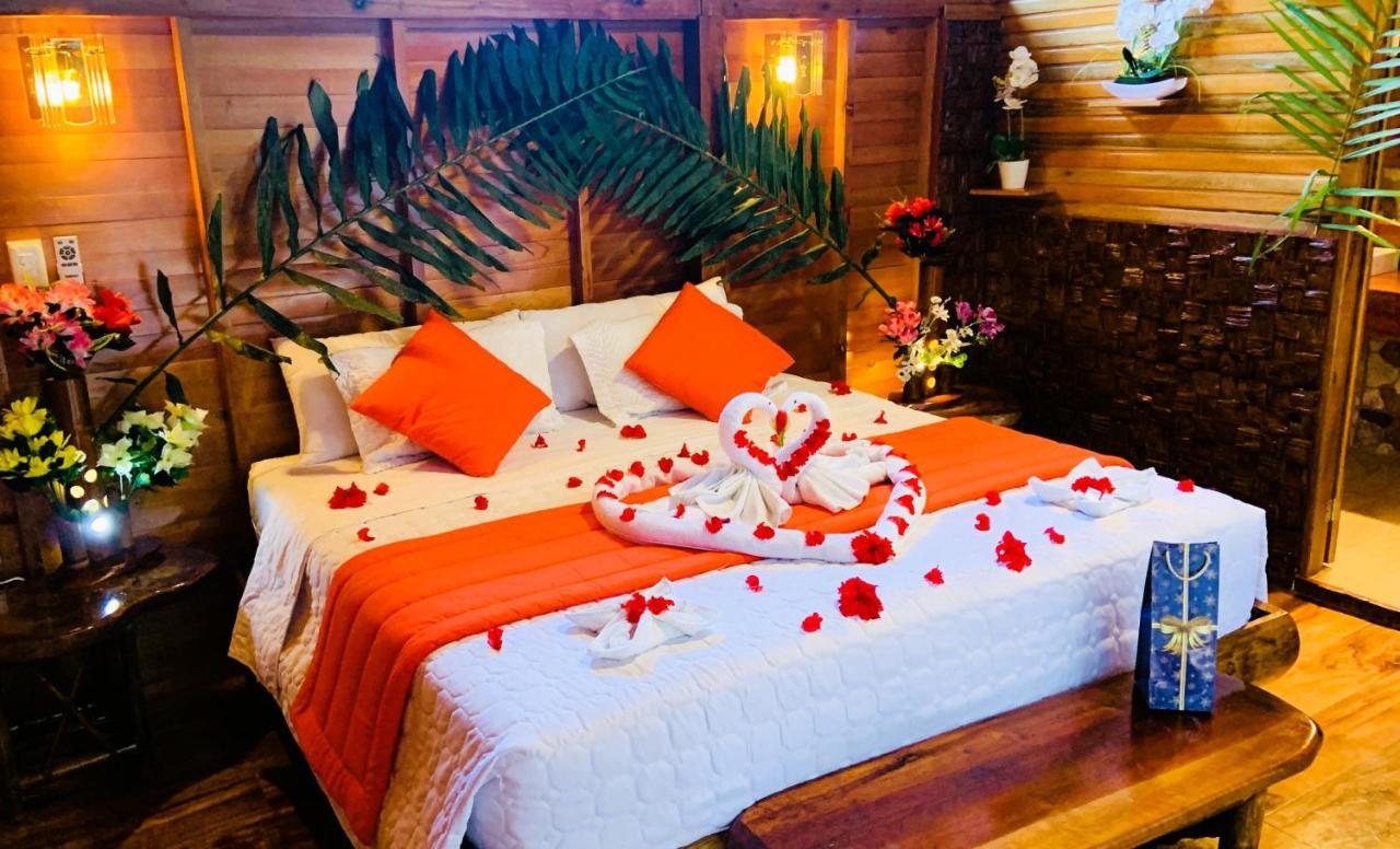 Suchipakari Amazon Eco -Lodge & Jungle Reserve Misahualli Luaran gambar