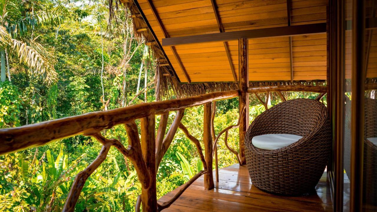 Suchipakari Amazon Eco -Lodge & Jungle Reserve Misahualli Luaran gambar